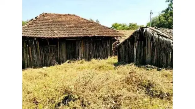 छत्तीसगढ़ में जादू-टोना के चलते शख्स की हत्या, फिल्म देखकर दफनाया शव