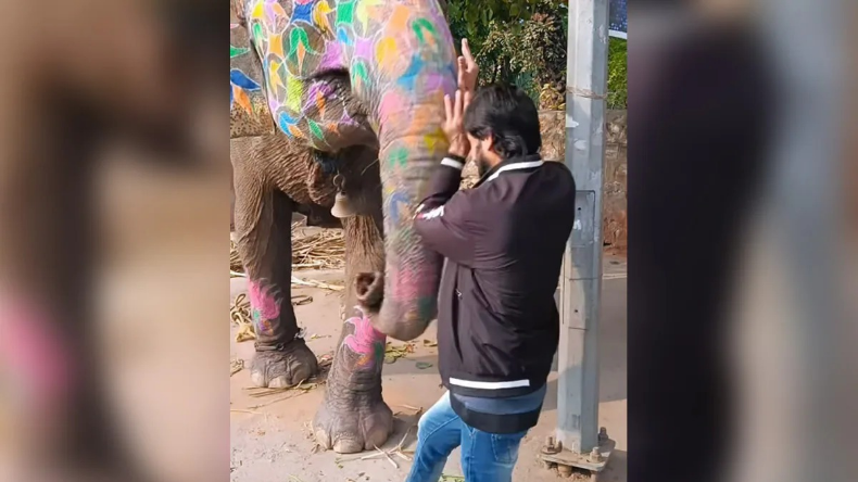 OMG! मदारी पर भड़क गया बंदर, चाकू उठाकर कर दिया खेल, लोगों की सांसें थम गईं