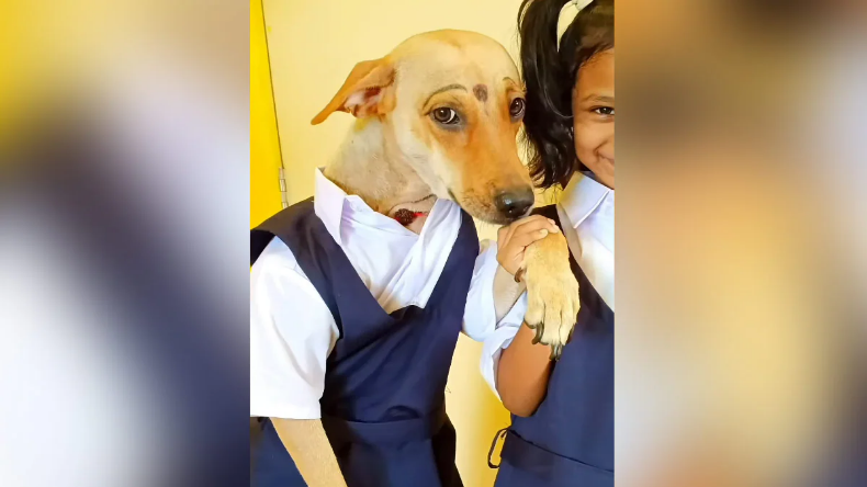 Video: मालकिन ने अपने डॉगी को बर्थडे में दिया ऐसा गिफ्ट कि लोग बोले- कुत्ते जैसी किस्मत सबकी हो