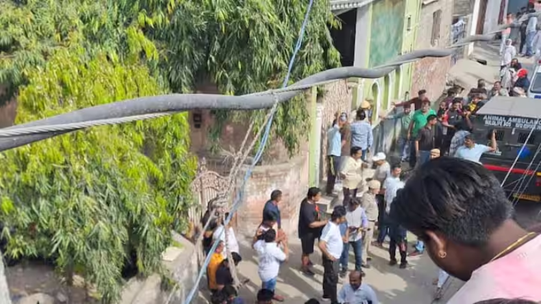 मेरठ के किठौर में तेंदुए का आतंक, कैद हुआ खौफनाक मंजर