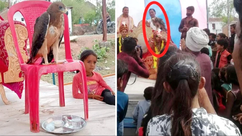 सीएम मोहन ने राहुल गांधी पर बोला हमला, कहा-कांग्रेस ने 100 बार संविधान में किया संशोधन