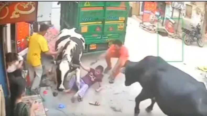 मेट्रो में डांस करती लड़की का वीडियो देख भड़के लोग, कहा कि कहां है दिल्ली पुलिस?