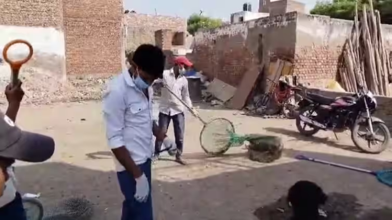 Agra Traffic Advisory: सावन के दूसरे सोमवार पर आगरा में रूट डायवर्ट, जानें आपके रास्ते पर क्या असर पड़ेगा