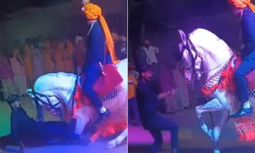 Horse: दूल्हे का घोड़ा अपनी पीठ पर दूल्हे को लिए ही करने लगा डांस, शख्स और घोड़े ने दिखाई शानदार जुगलबंदी