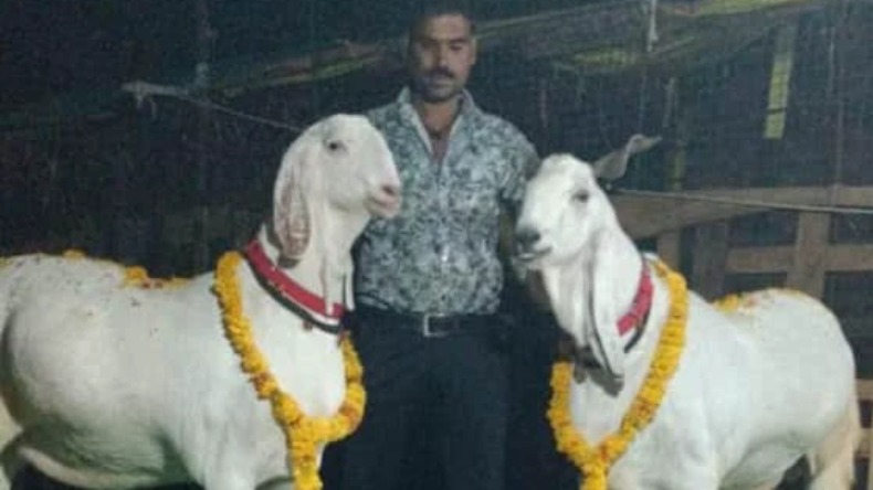 बलात्कारियों ने रेप करके कूंच दी कनपटी, 10 साल की बच्ची से हुई ऐसी हैवानियत कांप उठे योगी!