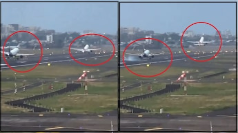 मगरमच्छ के बच्चों को बैंकॉक ले जा रहे थे तस्कर, मुंबई एयरपोर्ट पर ऐसे पकड़े गये