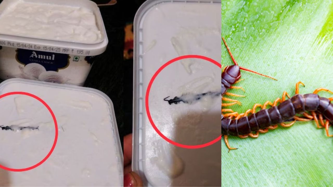 लखनावली में कूड़े की वजह से लोगों को हो रही परेशानियां, अब किया जाएगा ये काम