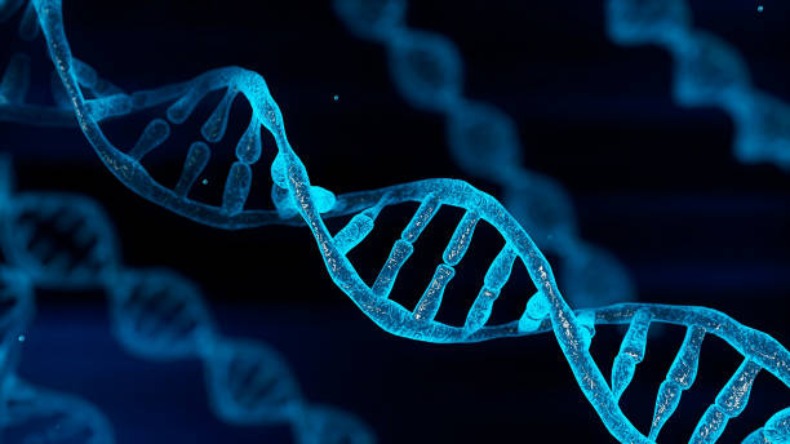 एक DNA टेस्ट ने रिश्तों में घोल दिया जहर, खुल गई पत्नी की चौंका देने वाली सच्चाई