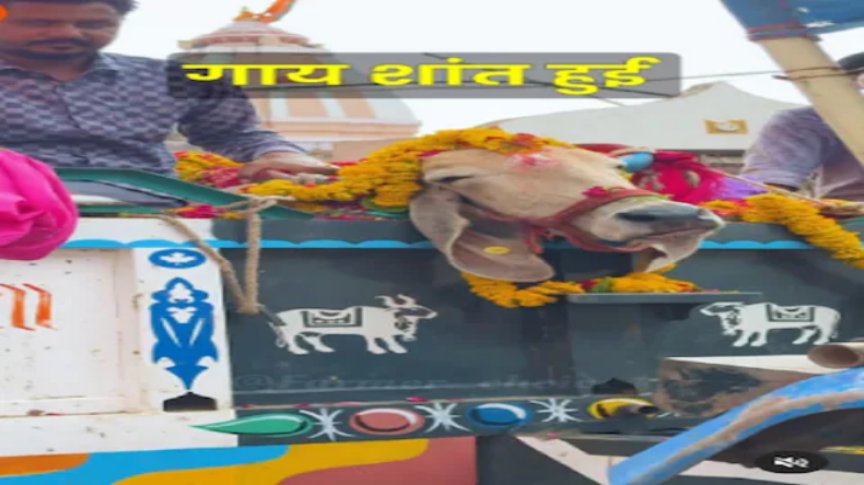 Bihar: तीन दोस्तों ने बनाया मौत वाला रील, फिर जो हुआ…