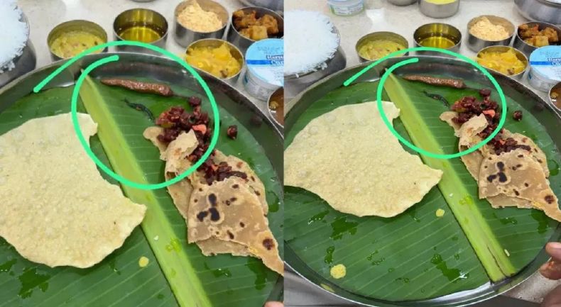 किचन गंदा, एक्सपायर्ड खाना, कैफे का हुआ पर्दाफाश, इस शख्स ने खोली पोल…