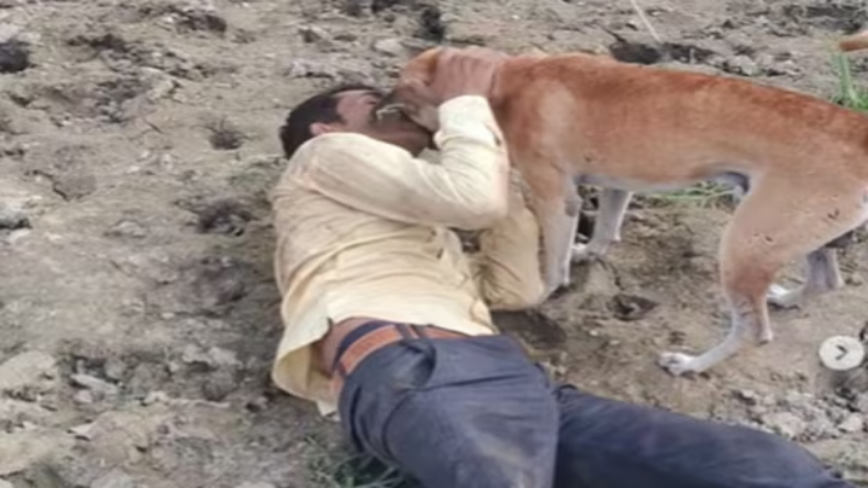 Video: लाखों की भीड़ में एक सच्चा भक्त ऐसा मिला, जिसने सचमुच गंगा आरती की, बाकी लोग दिखावा करते रहे