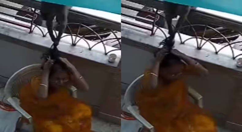 इंसान तो छोड़ो बरेली में 5 बंदरों के साथ हुई हैवानियत, दुकानदारों ने ही किया ऐसा घिनौना काम, सुन कानों से निकलने लगेगा खून
