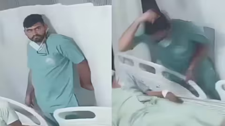 पानी के भीतर अजगर और मगरमच्छ की जबरदस्त भिड़ंत, अंजाम देख आप रह जाएंगे दंग
