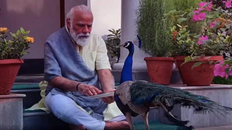 एक मोदी सब पर भारी…चुनाव के बीच गिरिराज सिंह बोले