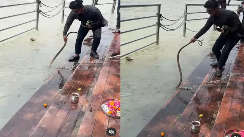 कपड़े धोने गया शख्स तो वॉशिंग मशीन से निकला किंग कोबरा, उड़ गए होश