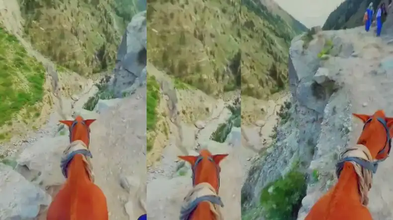 VIDEO: चलती बस में संबंध बनाते पकड़े गए कपल, फिर कंडक्टर ने किया कुछ ऐसा, वीडियो वायरल