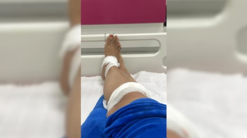गली के शेर Vs जंगल के शेर, कुत्तों और शेरों की टक्कर का वीडियो हुआ वायरल