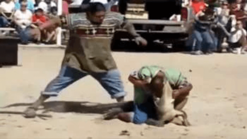 Video: मगरमच्छ के मुंह में सिर डालकर दिखा रहा था करतब, उसके बाद जो हुआ सांसें थम जाएगी!