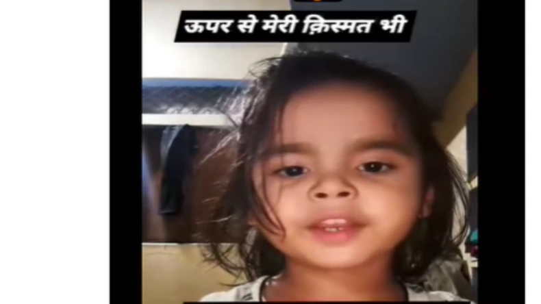 पिंजरे में बंद शेर को चिढ़ाने शख्स रहा था शख्स फिर हुआ यह हादसा