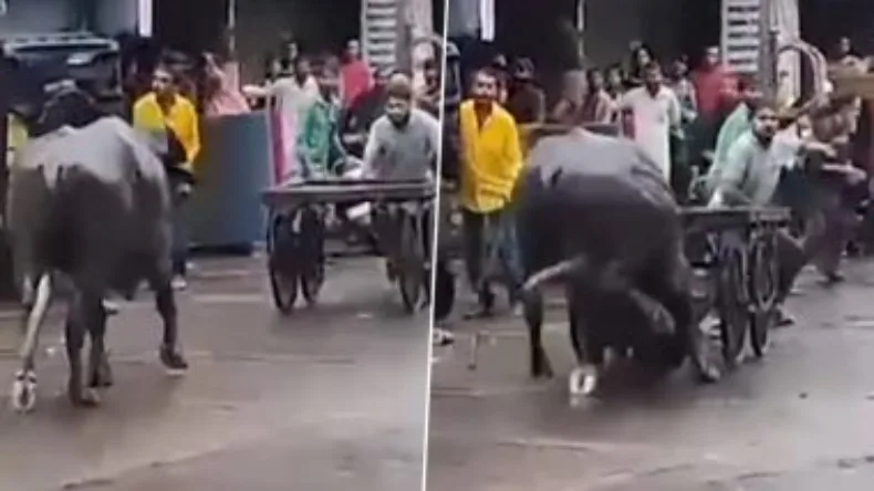 छाता लेकर जा रहा था शख्स, तभी गिर पड़ी दीवार, बाल-बाल बची जान…