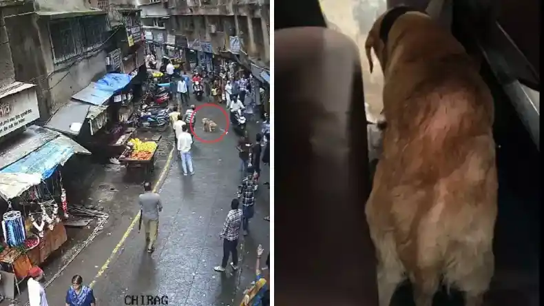 हिंदू छात्र मांस खाओ… वरना स्कूल से नाम काट देंगे! मेरठ के मुस्लिम टीचर ने स्टूडेंट्स को धमकाया