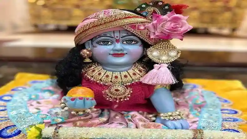 हाई कोलेस्ट्रॉल में ‘जहर’  की तरह काम करती है चीजें, आज ही छोड़ने में होगी भलाई