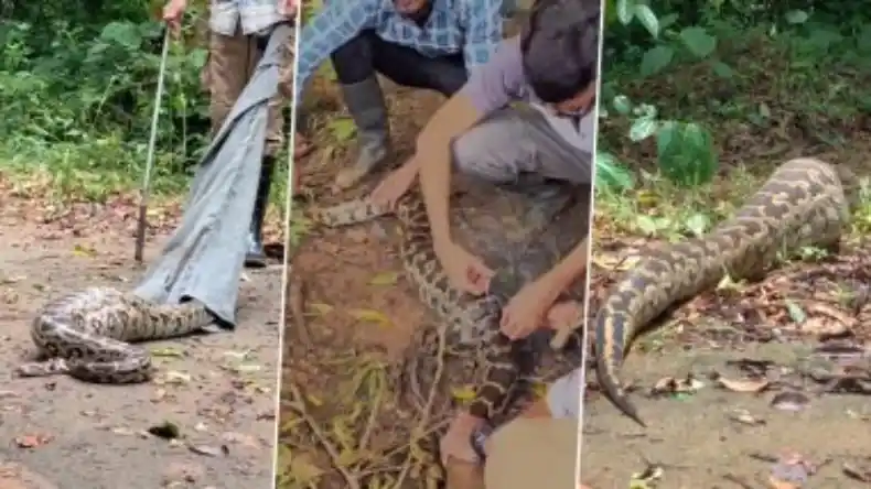 हिंदू छात्र मांस खाओ… वरना स्कूल से नाम काट देंगे! मेरठ के मुस्लिम टीचर ने स्टूडेंट्स को धमकाया