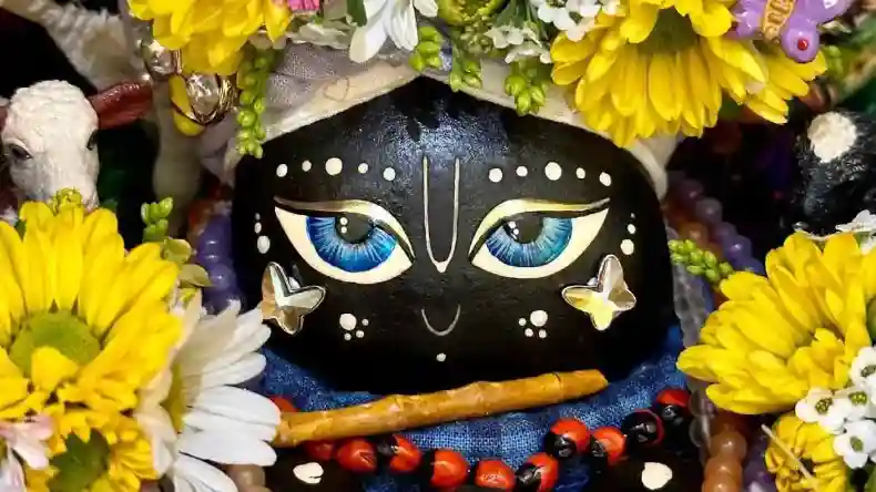 16 हजार 108 रानियों के साथ कैसे समय बिताते थे कृष्ण?