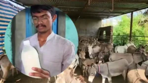 Inkhabar