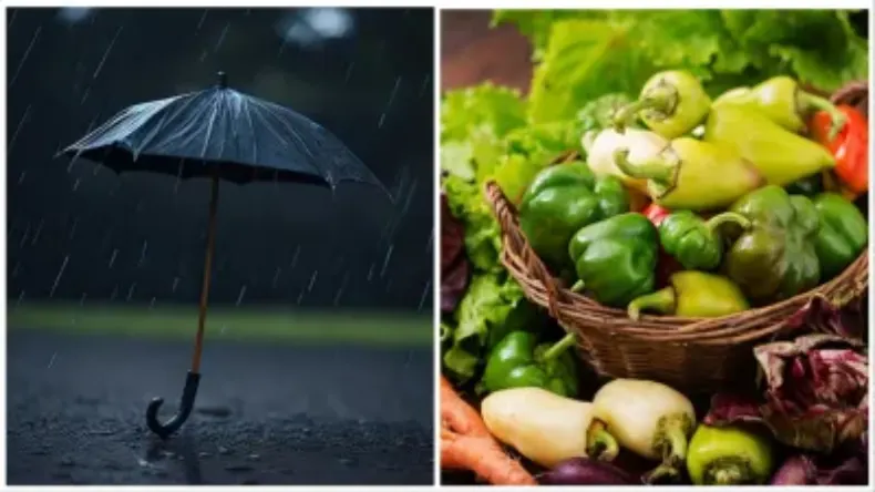 इस नदी में मिलते हैं हीरे, कई लोग बन चुके करोड़पति, जानें इस जगह का नाम
