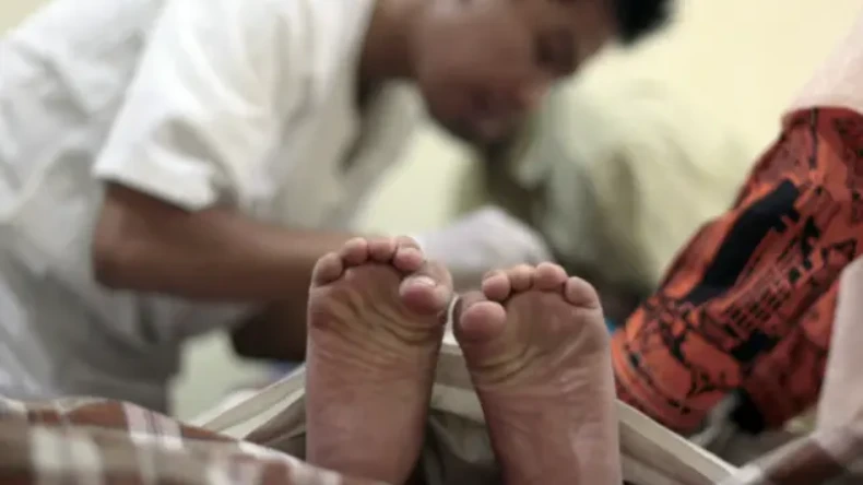 मुस्लिम लोग क्यों सूअर के मांस को मानते हैं हराम? इसके पीछे का सच जानकर उड़ जाएंगे होश