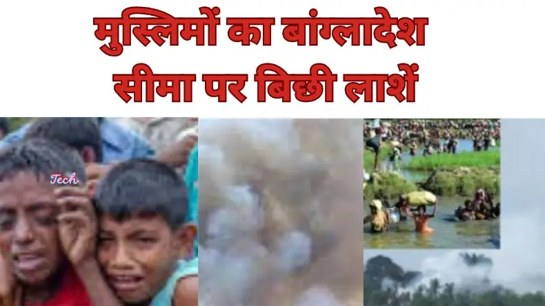 फ़ौरन इनको चलता करो! भारत के लिए कितना खतरनाक है रोहिंग्या, iTV सर्वे देखकर चौंक जाएंगे