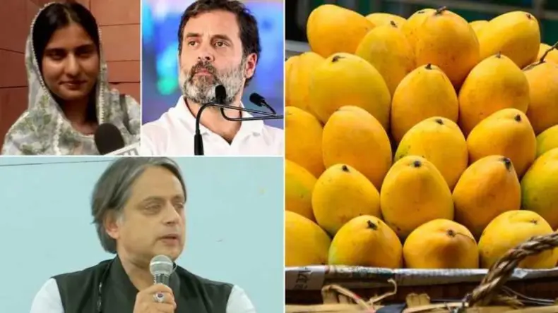 देखो-देखो सो गया! जब वक्फ संशोधन बिल पेश किया जा रहा था, तो राहुल मार रहे थे खर्राटे, फिर सांसदों ने…