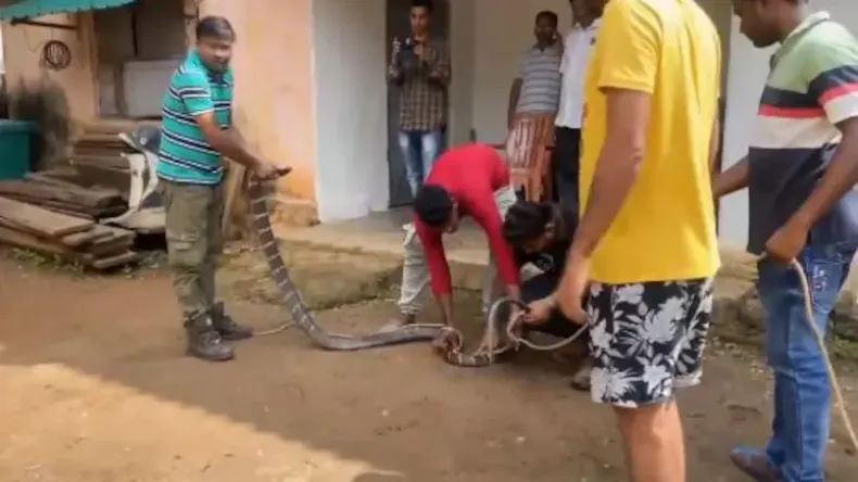 कड़ा निकाल… छात्रा की लड़कियों के गिरोह ने की पिटाई, लाते और घुसों की हुई बारिश