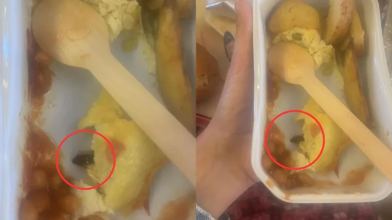 48 घंटों में 10 फ्लाइटों में मिली बम की धमकी, एयर इंडिया प्लेन की कनाडा में इमरजेंसी लैंडिंग