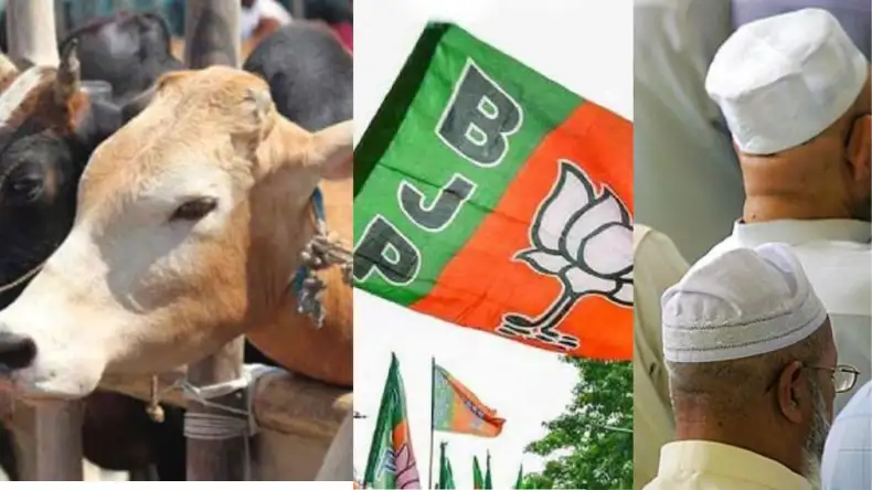 अगर निष्पक्ष चुनाव होते तो बीजेपी को 246 सीट भी नहीं मिल पाती… अमेरिका में राहुल ने कही यह बात