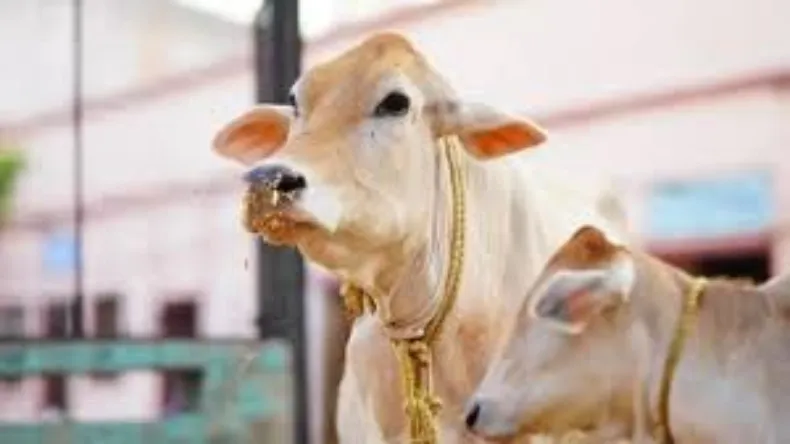 दुर्गा पूजा की गूंज, तभी हुई गोलियों की बौछार, योगी के राज्य से है हत्यारे का कनेक्शन!