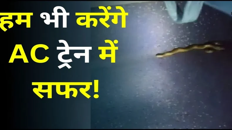 VIDEO: खतरनाक कोबरा को बच्चे की तरह नहला रही महिला, 2 सांप कर रहे अपनी बारी का इंतजार, देखें वीडियो
