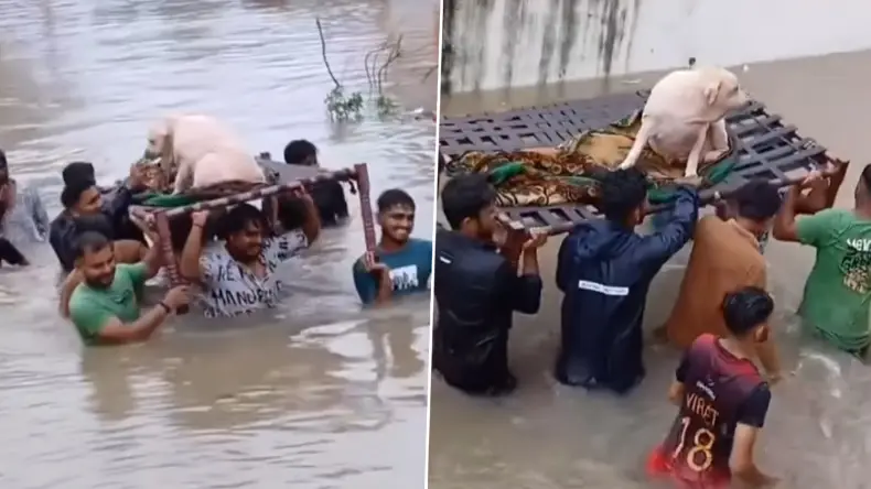 कुत्ते के साथ 1 लाख रुपये के घर में रहने लगी लड़की, फिर हुआ कुछ ऐसा शायद आप पढ़ न पाए