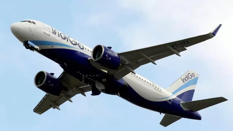 मगरमच्छ के बच्चों को बैंकॉक ले जा रहे थे तस्कर, मुंबई एयरपोर्ट पर ऐसे पकड़े गये