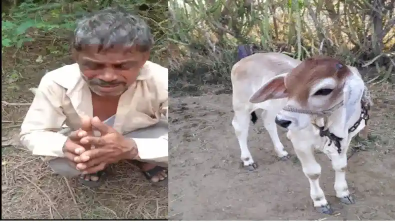 ग्वालियर के छात्र ने बनाया सिंगल सीटर ड्रोन, जानें कितनी है कीमत?