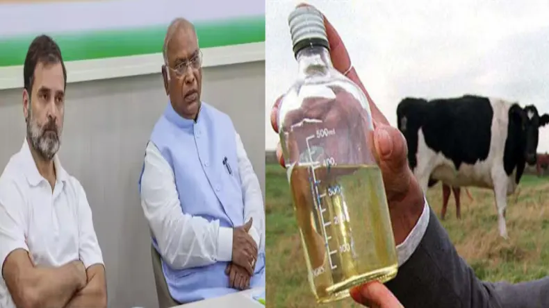 19 दिसंबर को राहुल गांधी से छिनेगी भारत की नागरिकता? केंद्र ने कोर्ट में ये क्या कह दिया