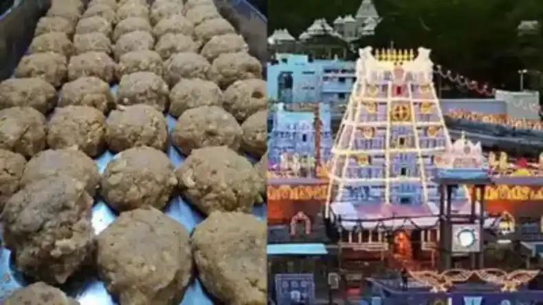 तिरुमाला मंदिर में किया गया शुद्धिकरण, मांगी भगवान वेंकटेश्वर स्वामी से माफी