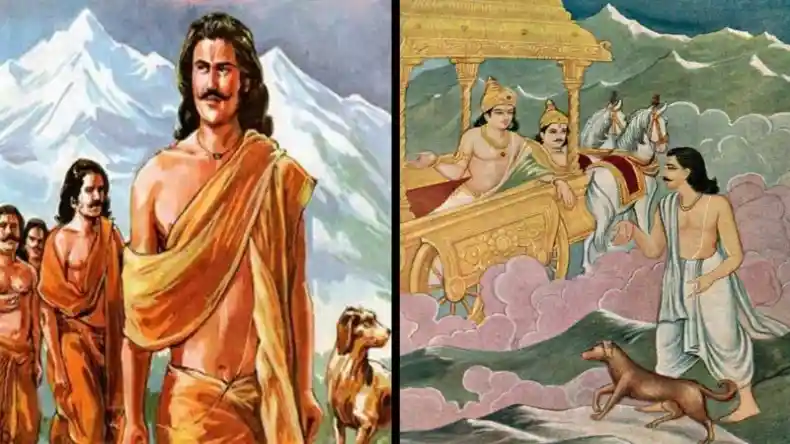 चिया सीड्स के साथ भूलकर भी न करें इन चीजों का सेवन, हो सकता है बड़ा नुकसान