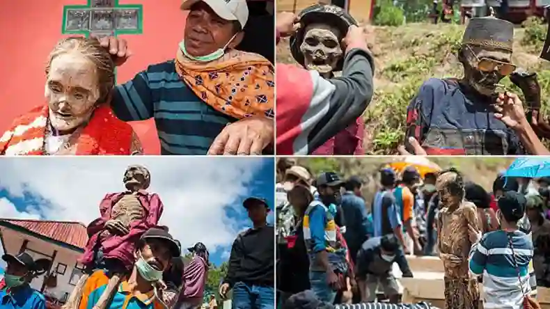 एर्दोगन की हुई इंटरनेशनल बेइज्जती, KAAN स्‍टील्‍थ लड़ाकू विमान खरीद को लेकर फैला रहे थे झूठ…भारत के करीबी दोस्त ने खोल दी पोल