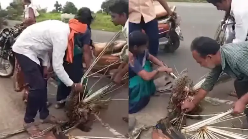 ए आर रहमान और बेसिस्ट मोहिनी डे के बीच संबंध का हुआ पर्दाफाश !