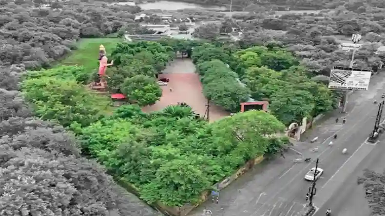इस वन पर है पितरों की छाया, 5700 पौधों की करते हैं रक्षा