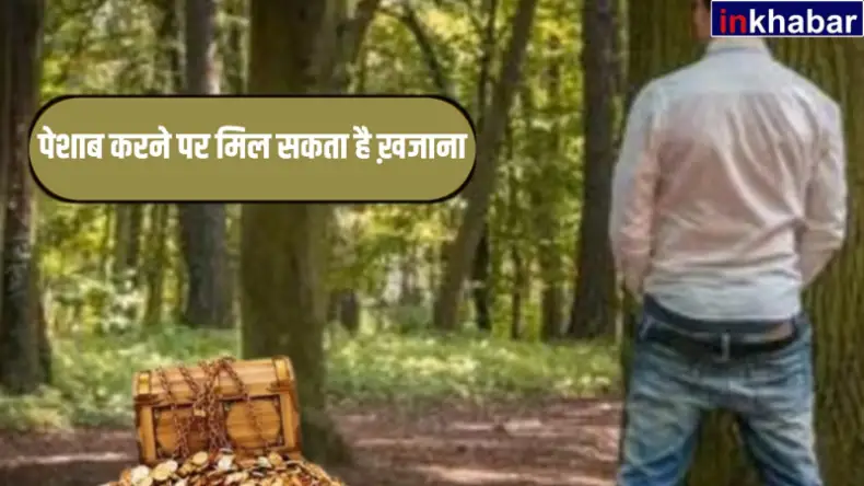 इस छोटे से बीज में छिपा है सेहत का खजाना, रोज खाने से मिलेगी कई बीमारियों से राहत