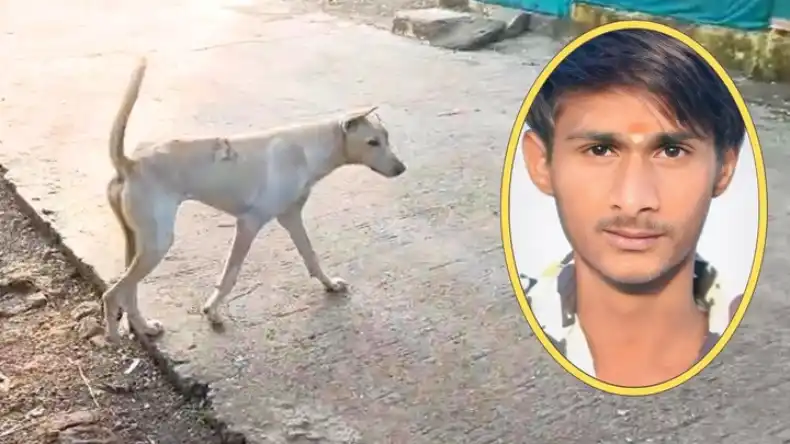 शादी की तड़प में लड़कियों की मंडी में जा पहुंचा युवक, जब सच्चाई से हुआ सामना तो टूट गया दिल
