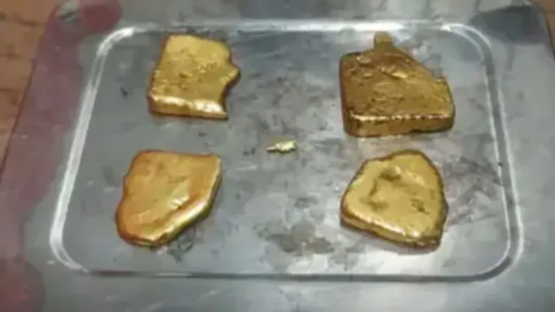 जयपुर में वाइल्डलाइफ माफिया का भांडाफोड़, 15 करोड़ की बाघ की खाल और हाथी के दांत हुए बरामद